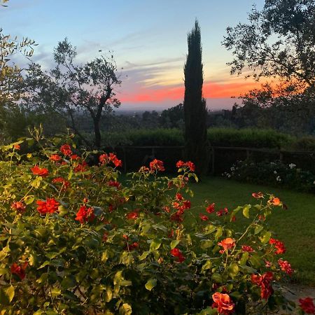 Podere Jana Antico Frantoio Pension Vinci Buitenkant foto