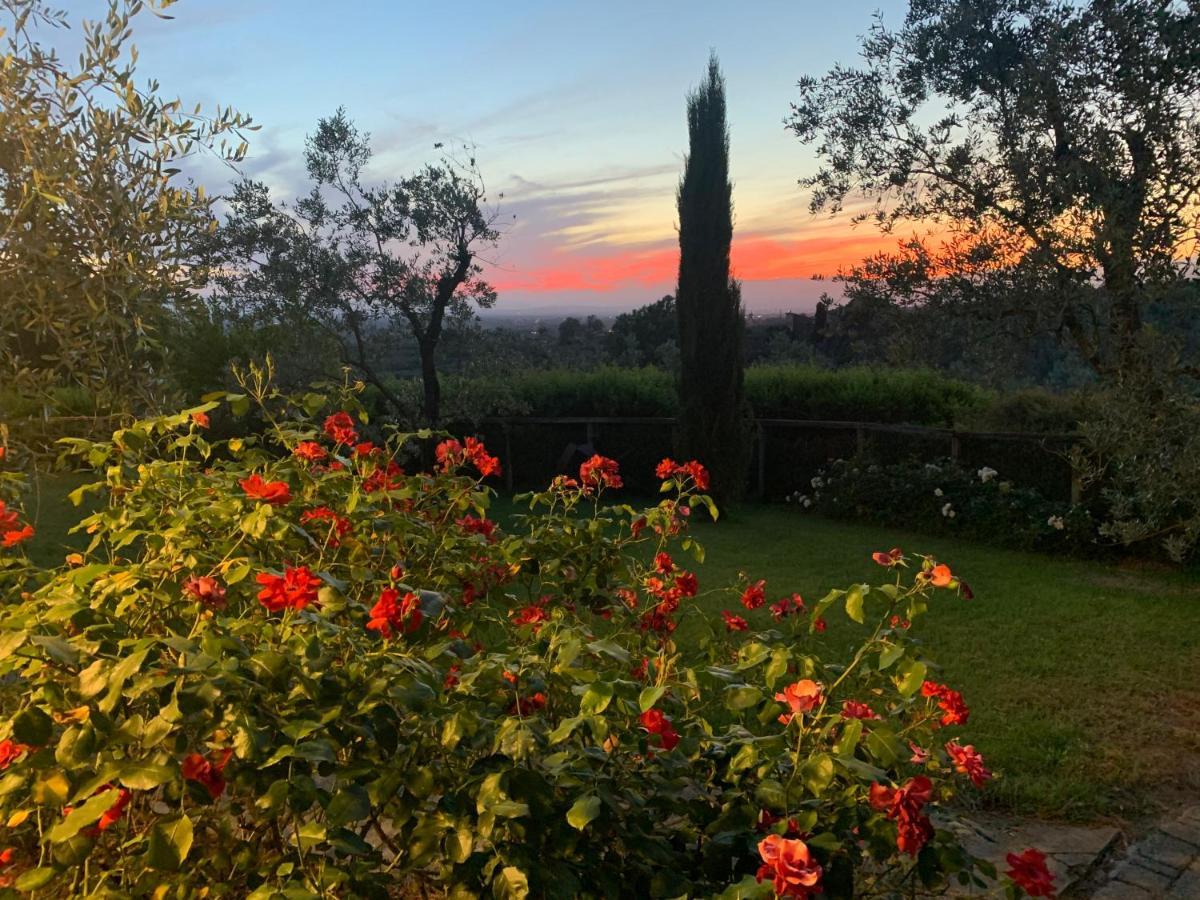 Podere Jana Antico Frantoio Pension Vinci Buitenkant foto