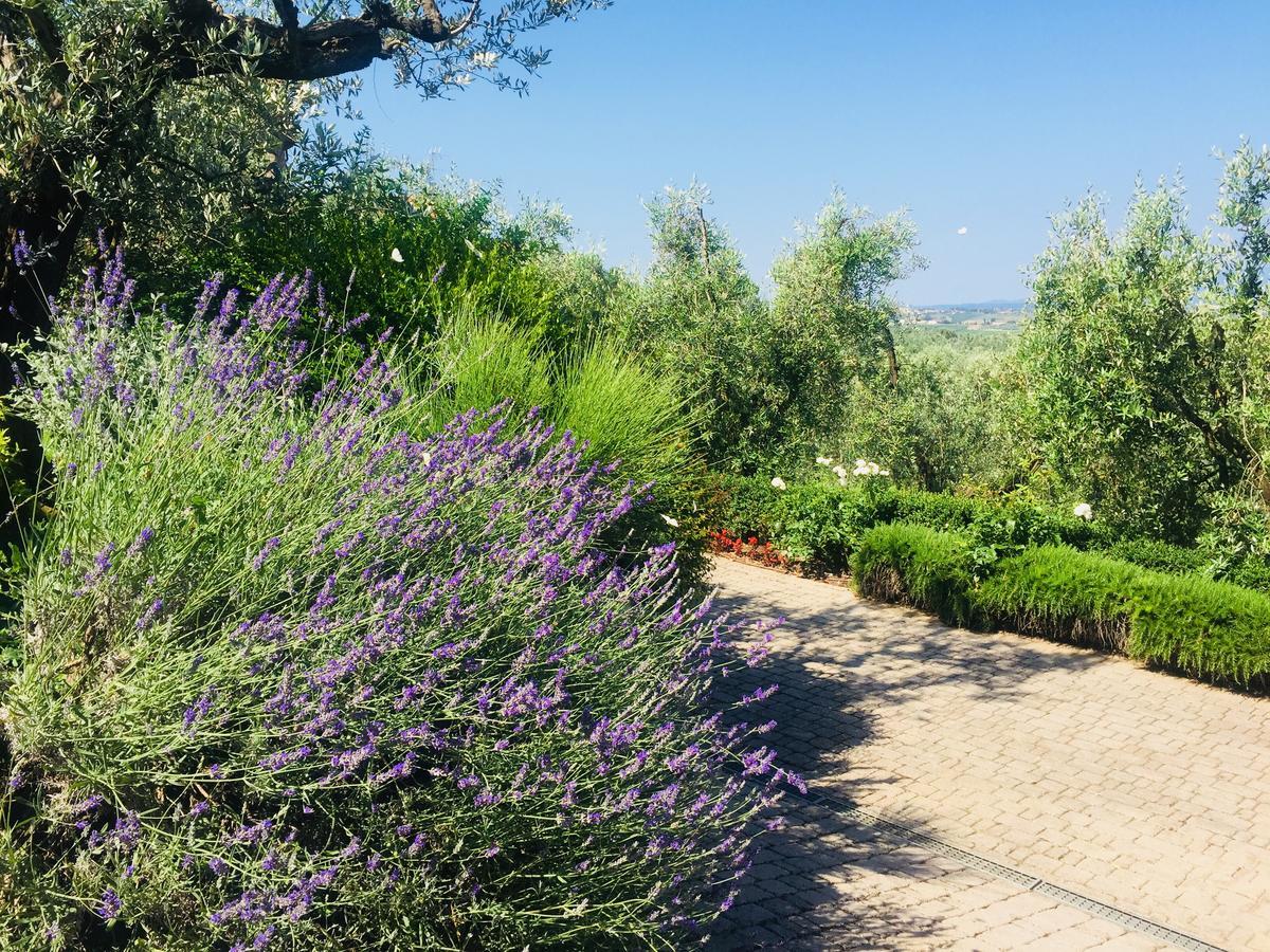 Podere Jana Antico Frantoio Pension Vinci Buitenkant foto