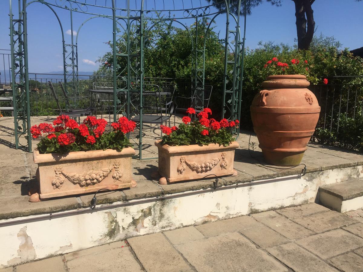 Podere Jana Antico Frantoio Pension Vinci Buitenkant foto